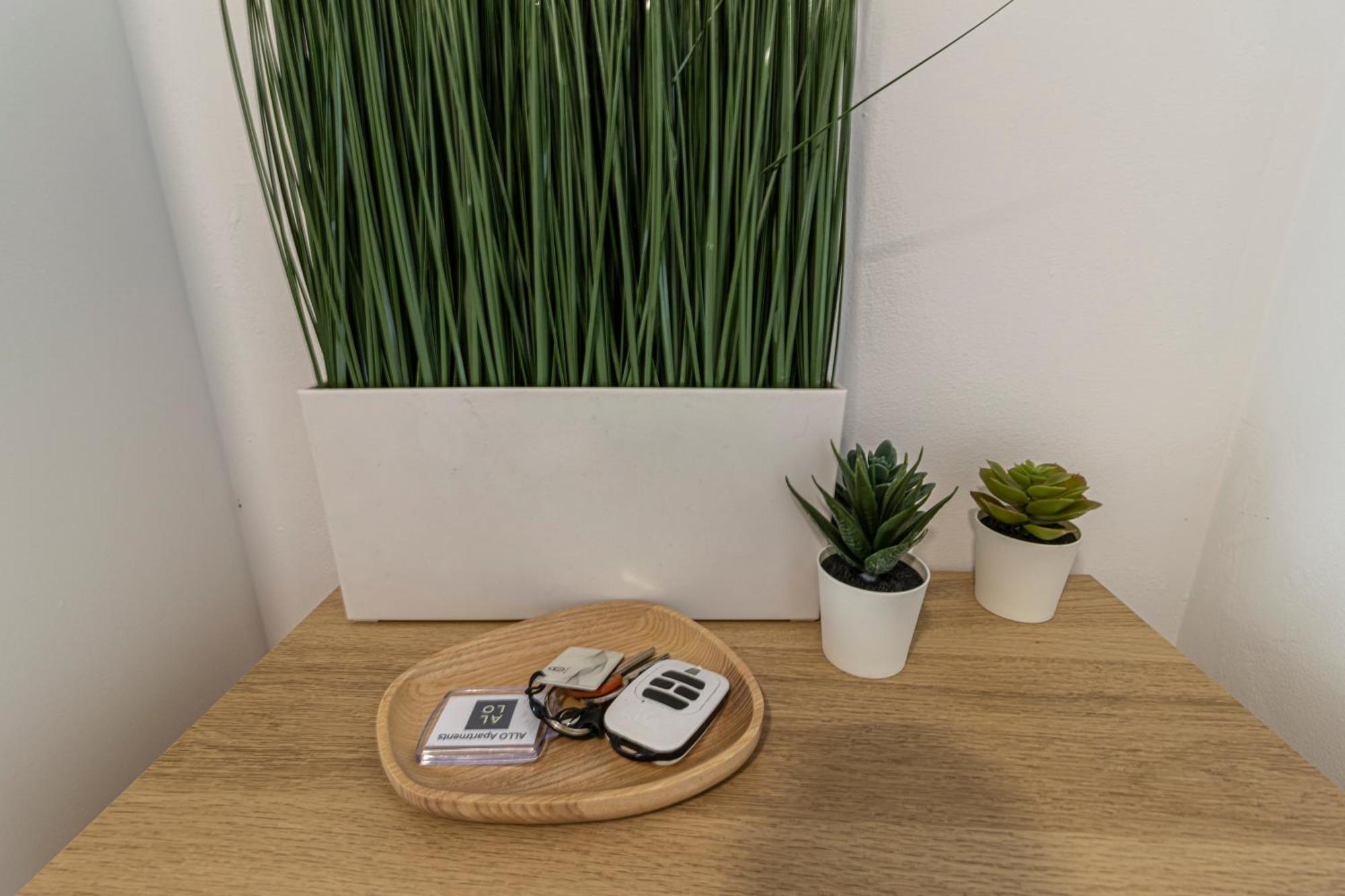 Allo Apartments Arroyo Atico Parking 1 Habitacion Jerez de la Frontera Ngoại thất bức ảnh